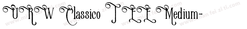 URW Classico T EE Medium字体转换